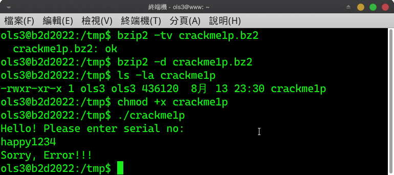 CrackMe1p